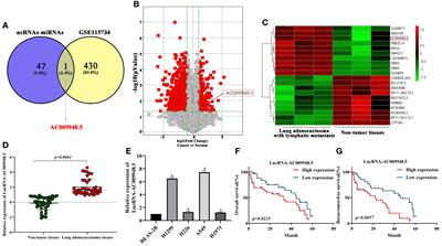 LncRNA-AC009948.5 promotes invasion and metastasis of lung adenocarcinoma by binding to miR-186-5p